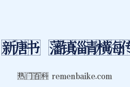 新唐书·藩镇淄青横海传是什么意思的图片